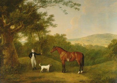 Porträt eines Jungen, eines Terriers und eines Kastanienponys von John Boultbee
